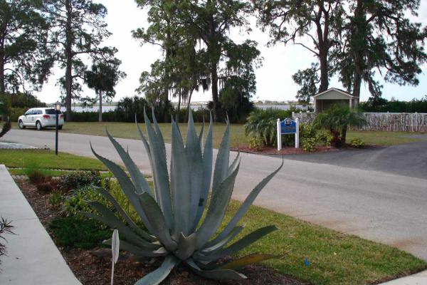 Colony Cove569 Bayshore DriveEllenton, FL 34222
