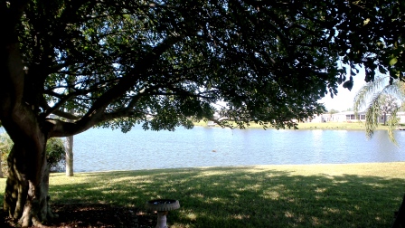 Colony Cove8016 Lemonwood Drive NorthEllenton, FL 34222