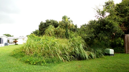Colony Cove37 Granada WayEllenton, FL 34222