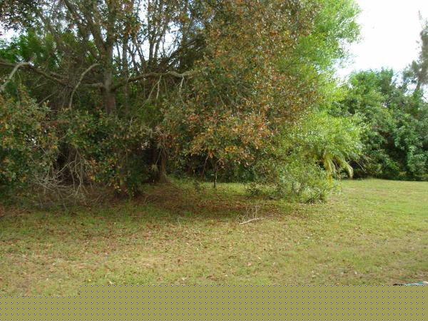 Colony Cove371 Colony Dr SEllenton, FL 34222