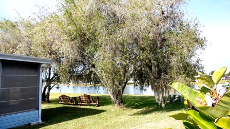 Colony Cove7520 Lakeshore DriveEllenton, FL 34222