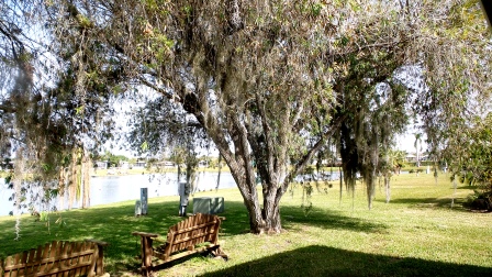 Colony Cove7520 Lakeshore DriveEllenton, FL 34222