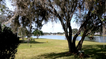 Colony Cove7520 Lakeshore DriveEllenton, FL 34222