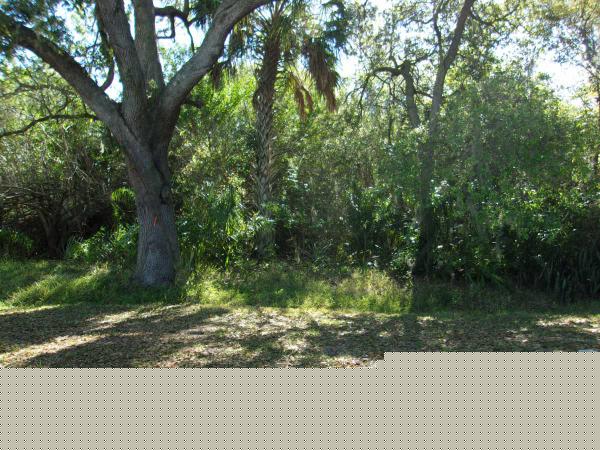 Colony Cove411 Sunset Cr NEllenton, FL 34222