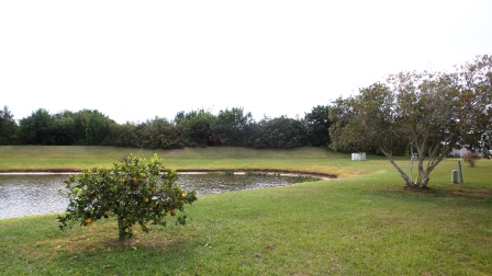 Colony Cove7619 Maple Leaf DriveEllenton, FL 34222
