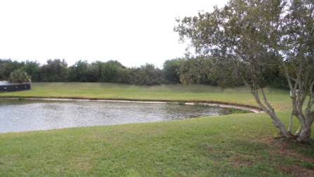 Colony Cove7619 Maple Leaf DriveEllenton, FL 34222