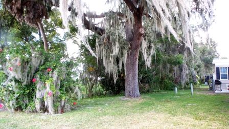 Colony Cove416 Brookwood DriveEllenton, FL 34222