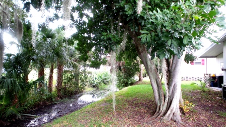 Colony Cove394 Sandpiper CoveEllenton, FL 34222