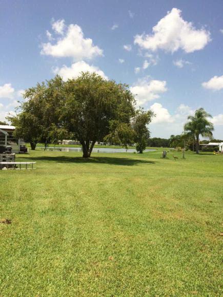 Colony Cove3819 MORNINGSIDE DR NEllenton, FL 34222