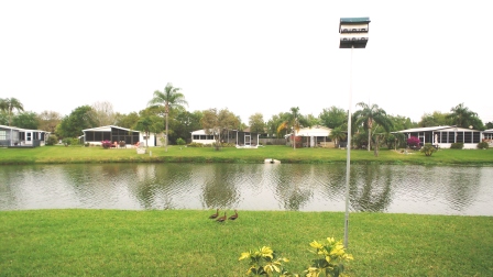 Colony Cove8104 Lakeview Drive NorthEllenton, FL 34222