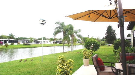 Colony Cove8104 Lakeview Drive NorthEllenton, FL 34222