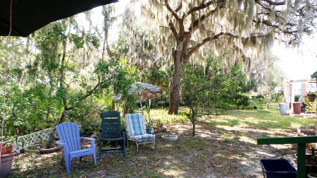 Colony Cove196 Poinciana DriveEllenton, FL 34222