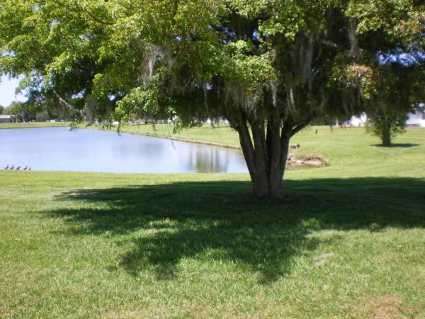 Colony Cove3807 Morningside Dr. N.Ellenton, FL 34222