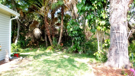Ridgewood Estates6815 Coconut Grove CircleEllenton, FL 34222