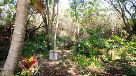 Ridgewood Estates6815 Coconut Grove CircleEllenton, FL 34222