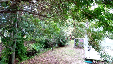 Colony Cove373 Teakwood DriveEllenton, FL 34222