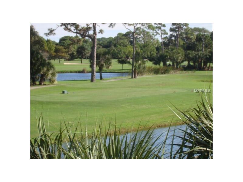 10010 EAGLE PRESERVE DRIVE, Englewood, FL 34224