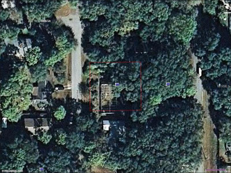 GALLUP, Sarasota, FL 34233