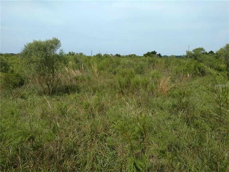 13233 M-J ROAD, Myakka City, FL 34251
