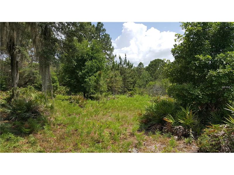 MCLEOD ROAD, Myakka City, FL 34251