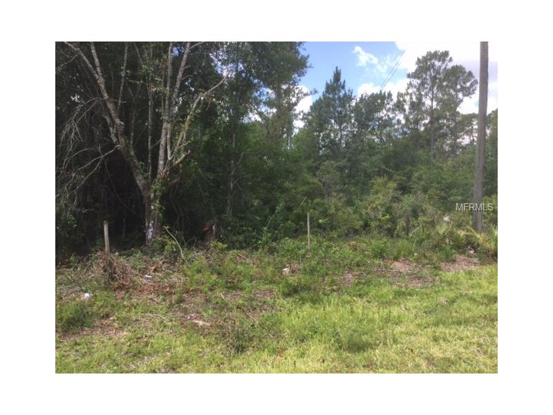 SW GATOR TRAIL, Arcadia, FL 34266