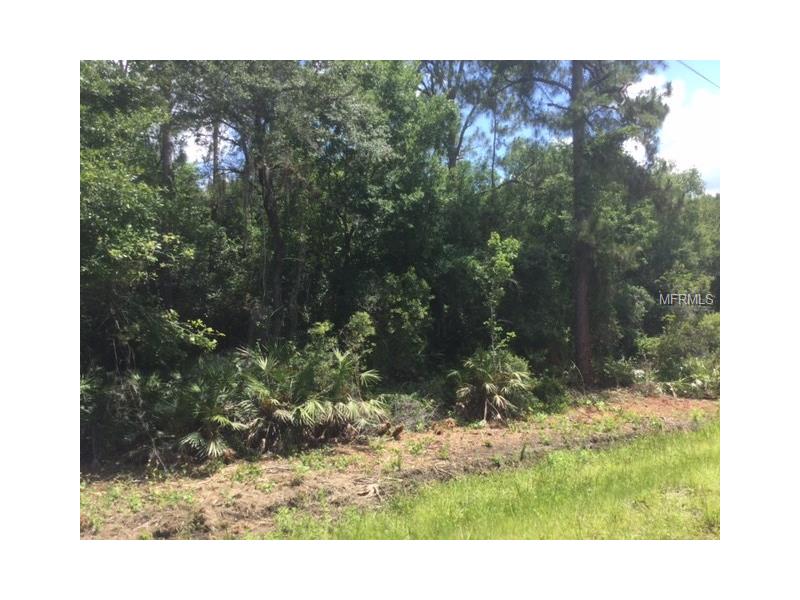 SW GATOR TRAIL, Arcadia, FL 34266