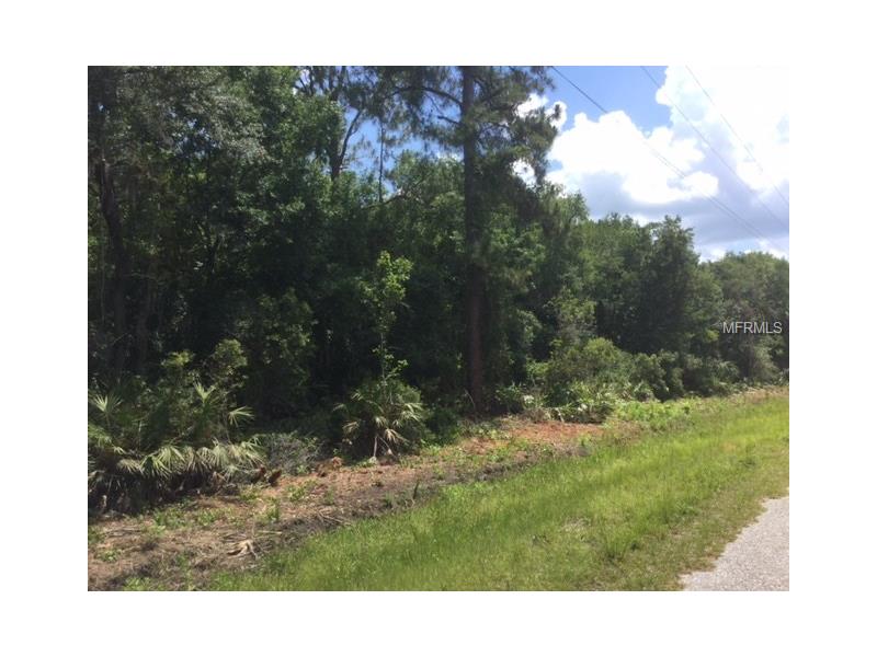 SW GATOR TRAIL, Arcadia, FL 34266