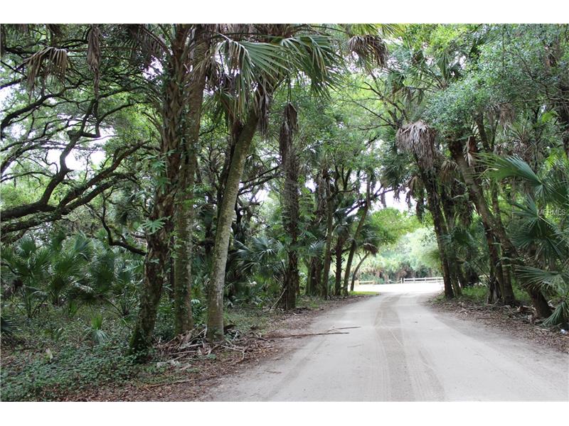 CHYNN AVENUE, North Port, FL 34286