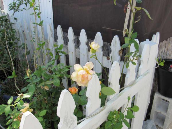 10400 Tamiami Tr. S. Lot 12 ,FL, North Port, 34287