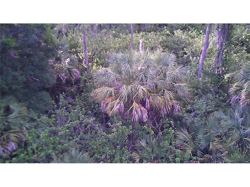 HILLS COURT, North Port, FL 34288