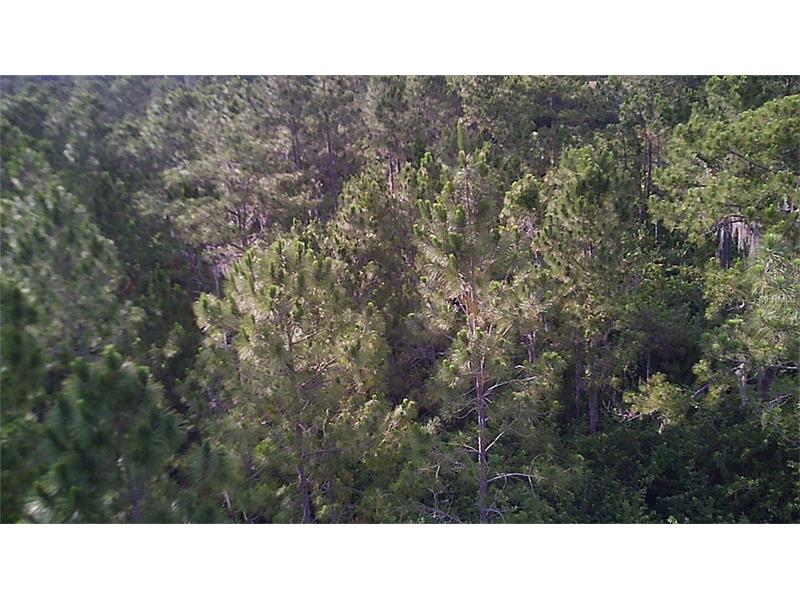 HILLS COURT, North Port, FL 34288