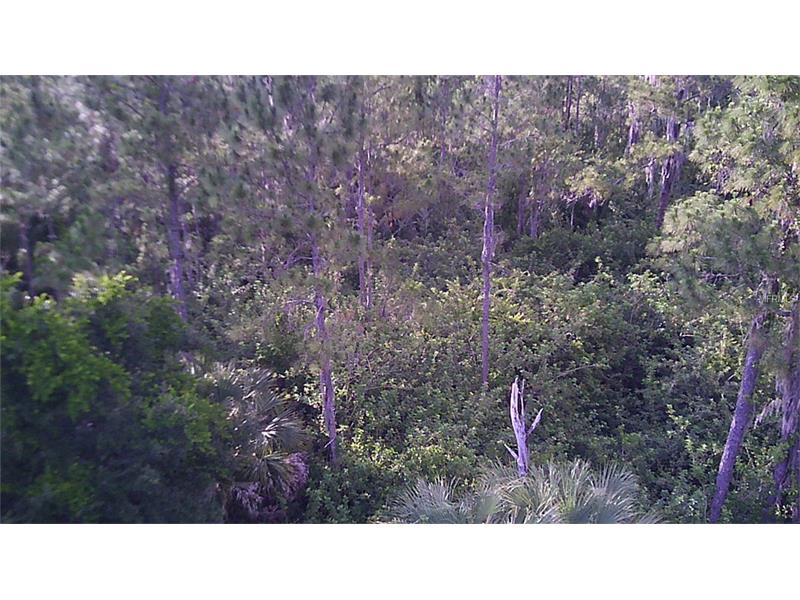 HILLS COURT, North Port, FL 34288