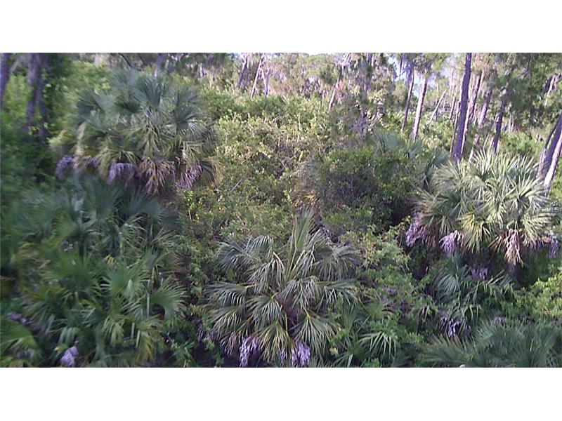 HILLS COURT, North Port, FL 34288