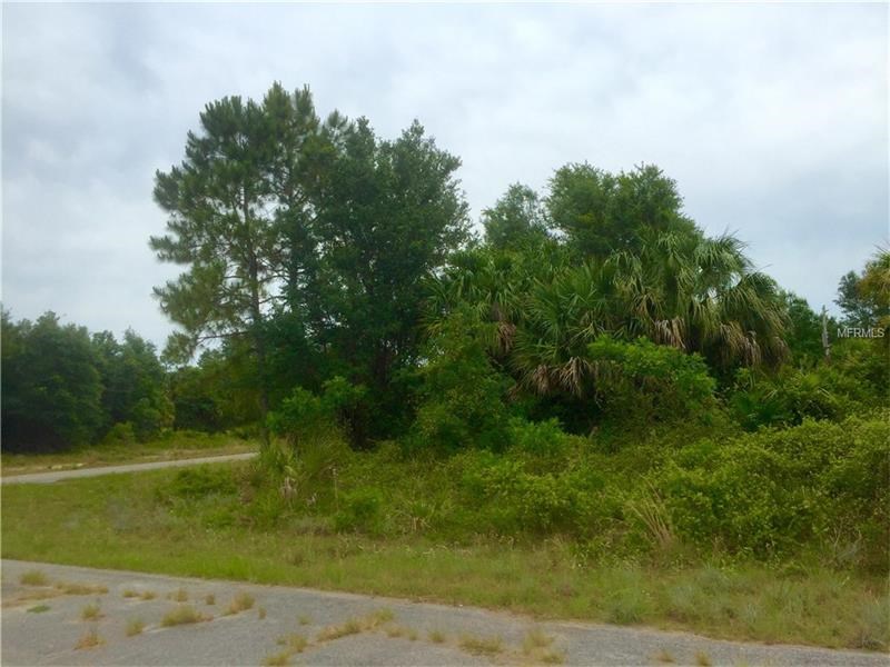 RELIC LANE &amp; VINEYARD CIRCLE, North Port, FL 34288
