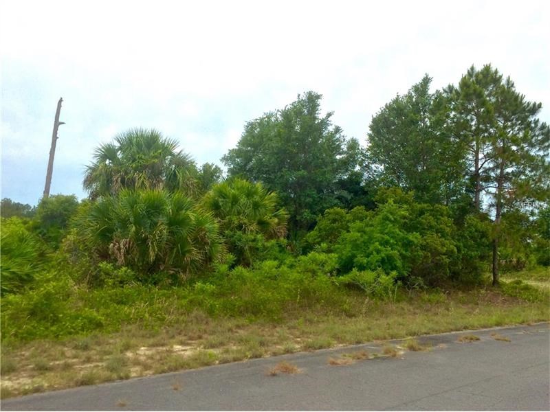 RELIC LANE & VINEYARD CIRCLE, North Port, FL 34288