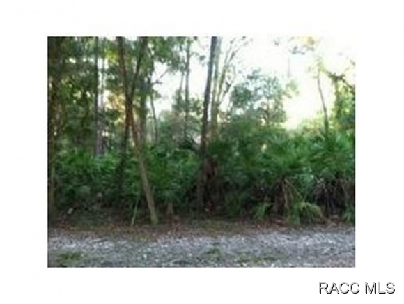 0 SE 35th Ct, Belleview, FL 34420