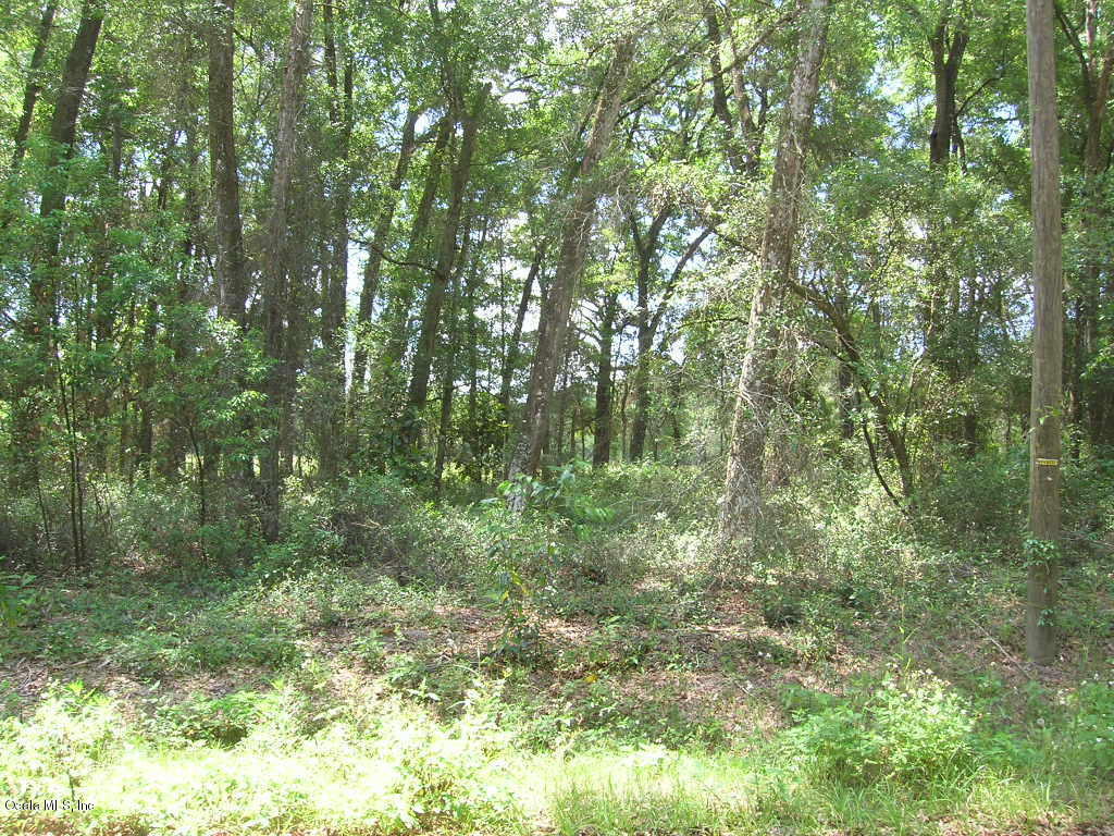 Lot 30 SE 124 Lane, Belleview, FL 34420