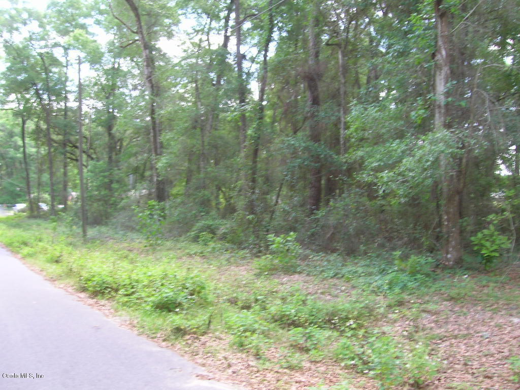 Lot 30 SE 124 Lane, Belleview, FL 34420
