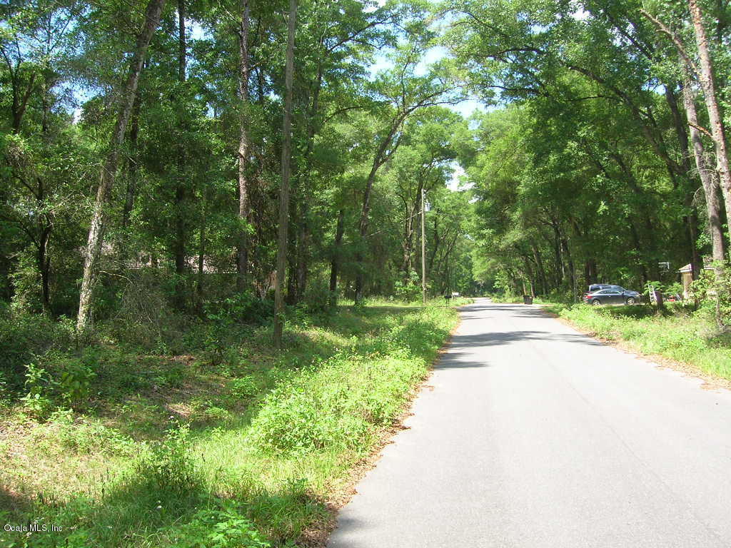 Lot 30 SE 124 Lane, Belleview, FL 34420