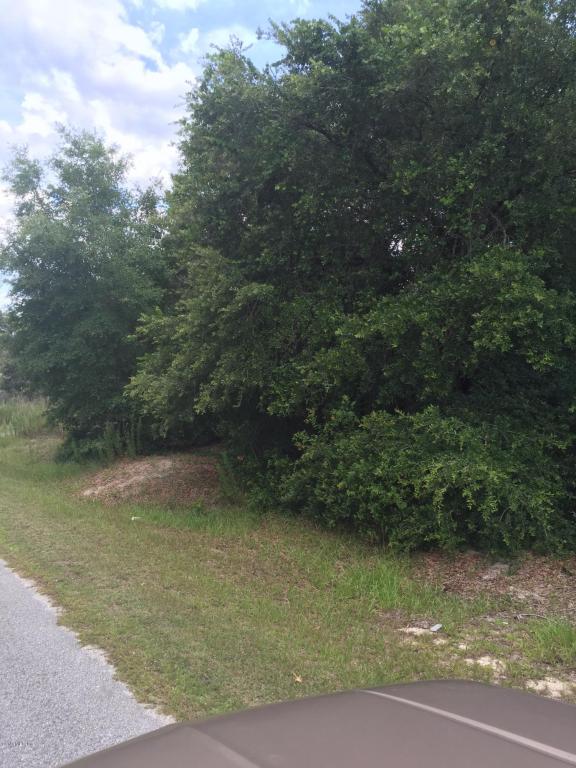 0 SE 94 Avenue, Belleview, FL 34420