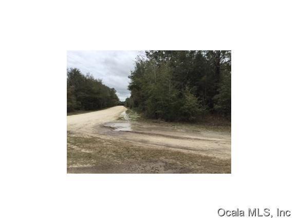 8477 W Elaine Null Street, Crystal River, FL 34428