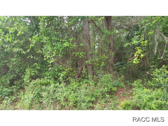8722 N Barberry Way, Crystal River, FL 34428