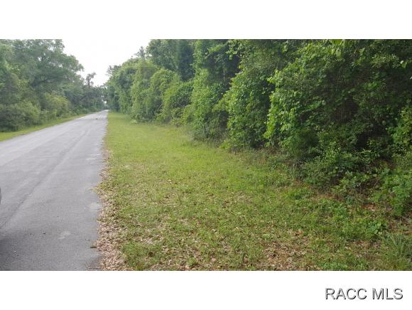 8722 N Barberry Way, Crystal River, FL 34428
