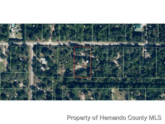 12234 DEODAR ST, Crystal River, FL 34428