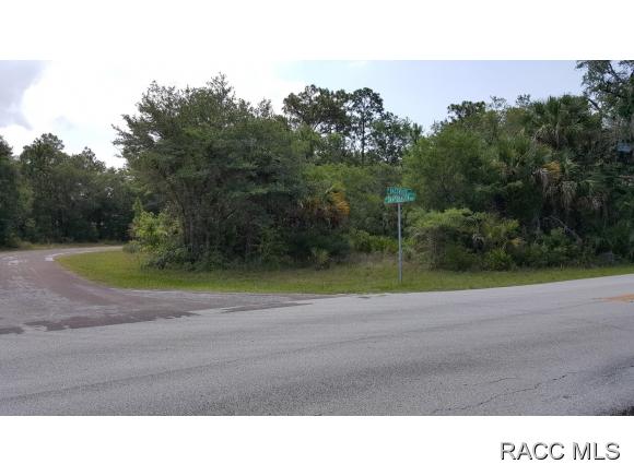 8398 N Snapdragon Way, Crystal River, FL 34428