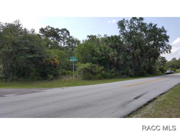 8398 N Snapdragon Way, Crystal River, FL 34428