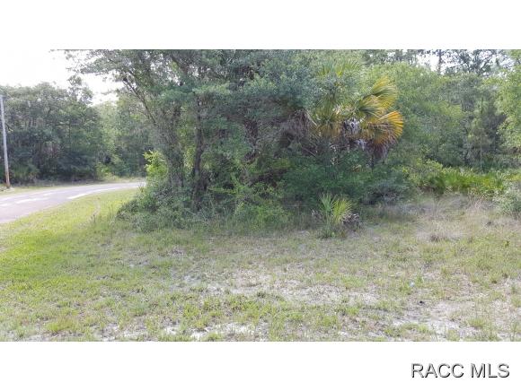 8398 N Snapdragon Way, Crystal River, FL 34428
