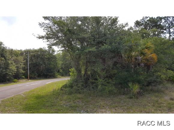 8398 N Snapdragon Way, Crystal River, FL 34428