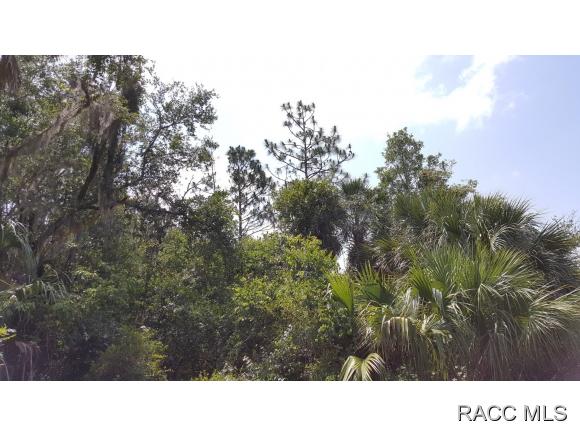 8398 N Snapdragon Way, Crystal River, FL 34428