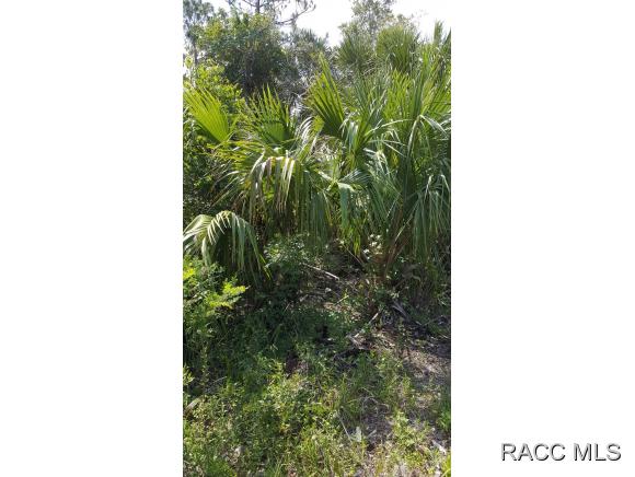 8398 N Snapdragon Way, Crystal River, FL 34428